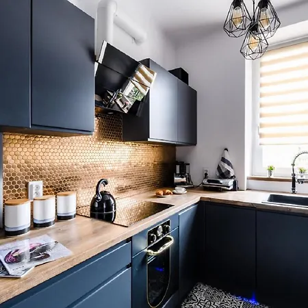 华沙市中心蓝房子公寓 * 华沙