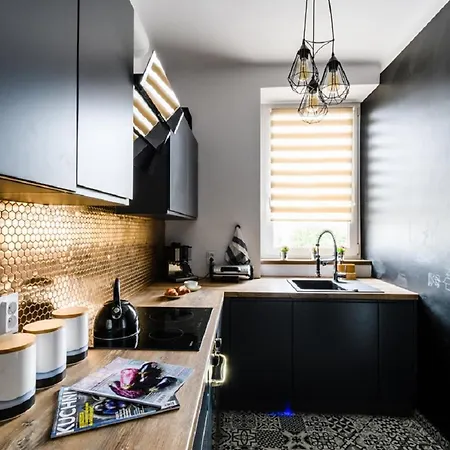 华沙市中心蓝房子公寓 公寓