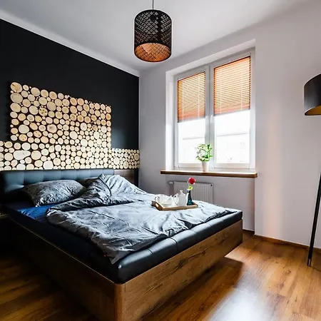 华沙市中心蓝房子公寓 公寓 *